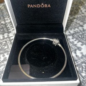 Pandora Braclet